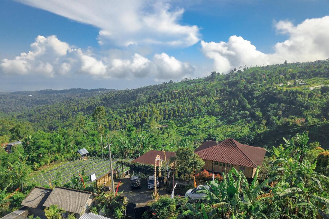 Kayukopi Villa Munduk  Ngoại thất bức ảnh